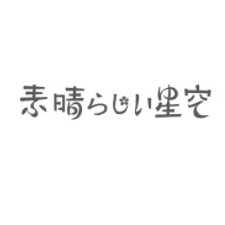素晴星空品牌LOGO