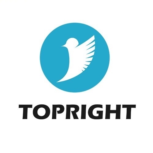 途锐达TOPRIGHT品牌LOGO