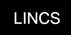 LINCS品牌LOGO
