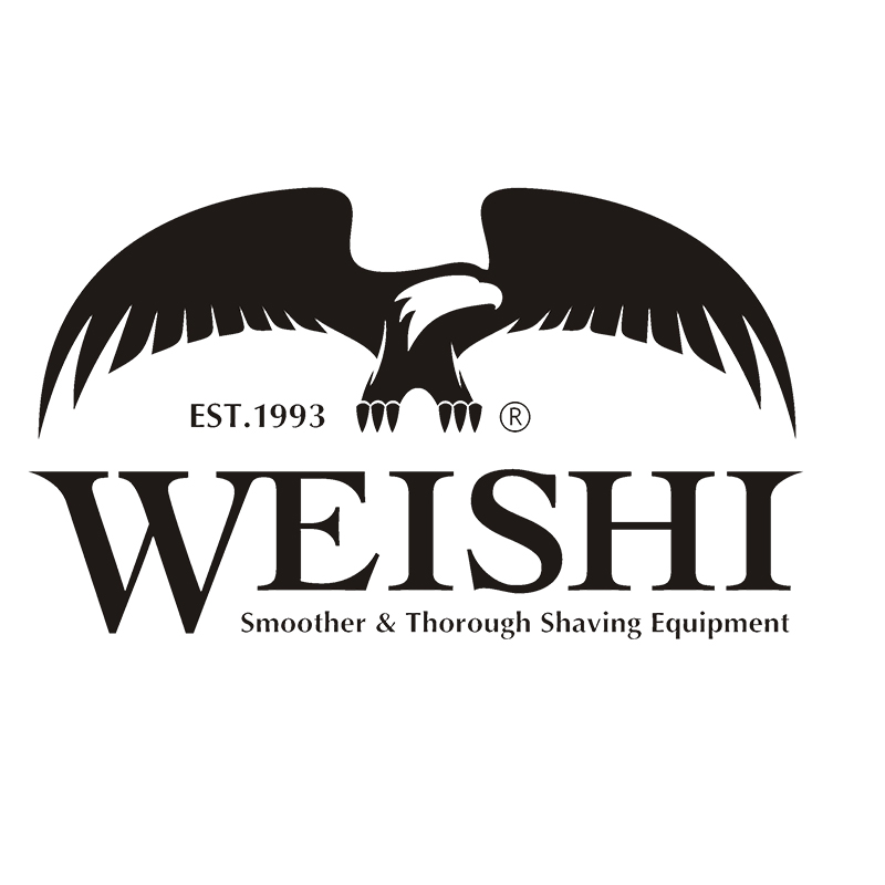 伟仕WEISHI品牌LOGO