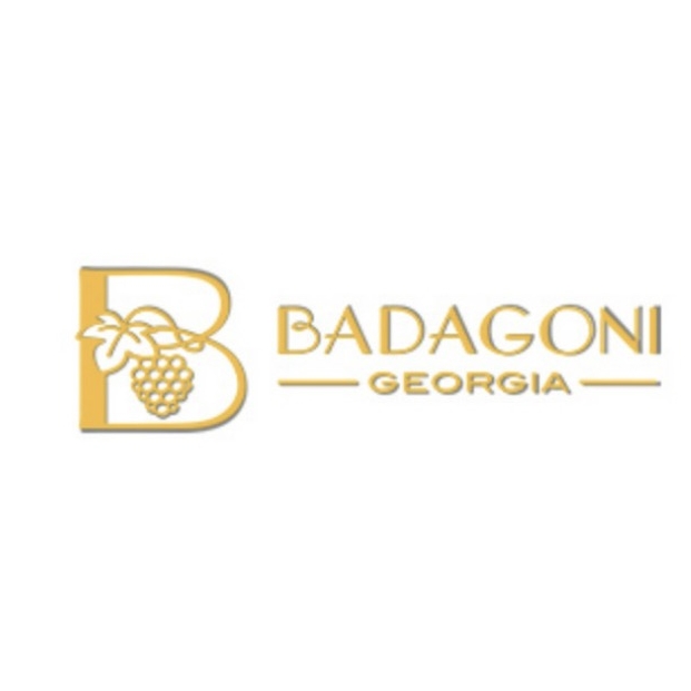 巴达果尼BADAGONI品牌LOGO