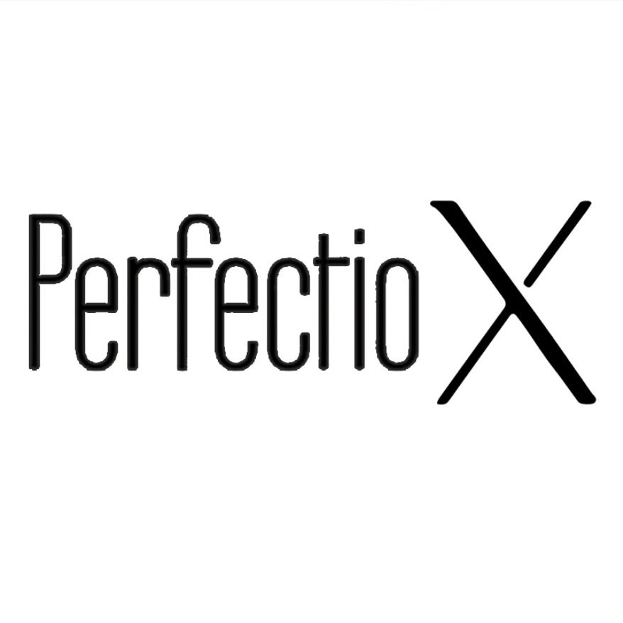 perfection X品牌LOGO