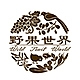 野果世界Wild Fruit World品牌LOGO