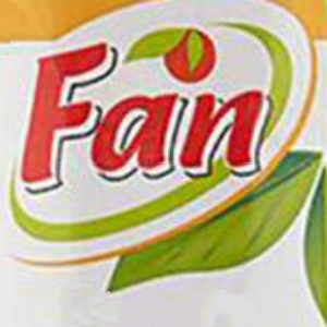纯果芬Fan品牌LOGO
