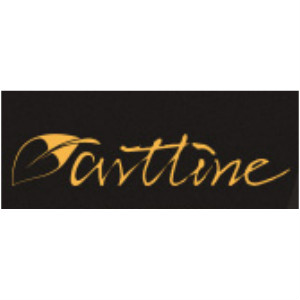 旗牌Artline品牌LOGO