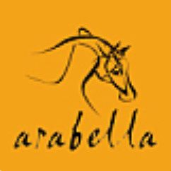 艾拉贝拉arabella品牌LOGO