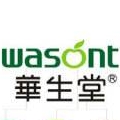 华生堂wasont品牌LOGO