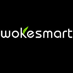wokesmart品牌LOGO