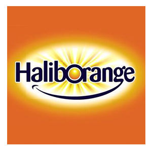 Haliborange品牌LOGO