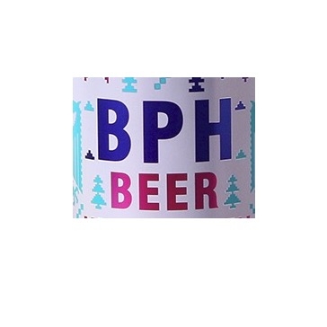泊啤汇BPH BEER品牌LOGO
