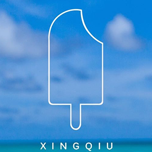 XINGQIU品牌LOGO