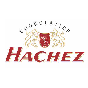 黑骑士HACHEZ品牌LOGO