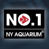 NY AQUARIUM品牌LOGO