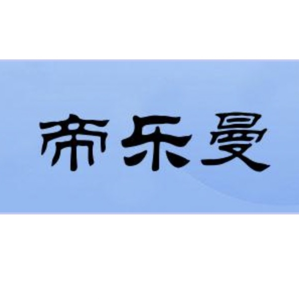 帝乐曼DELMTR品牌LOGO