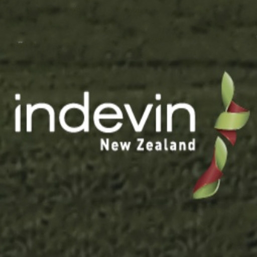 indevin品牌LOGO