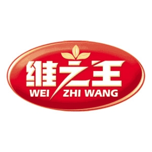 维之王WEI ZHI WANG品牌LOGO