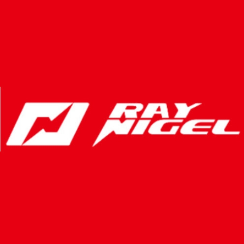 雷尼格尔RAY NIGEL品牌LOGO