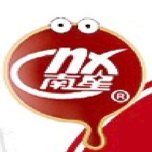 南星NX品牌LOGO
