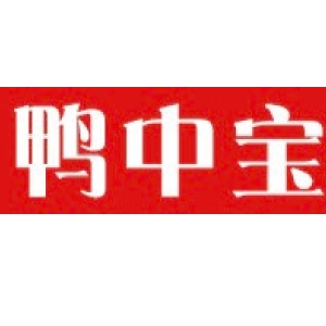 鸭中宝品牌LOGO