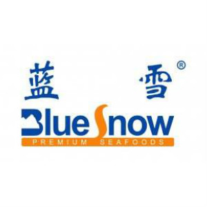 蓝雪Blue Snow品牌LOGO