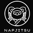 NAPJITSU品牌LOGO
