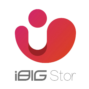 iBIGStor品牌LOGO