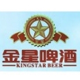 金星KINGSTAR品牌LOGO
