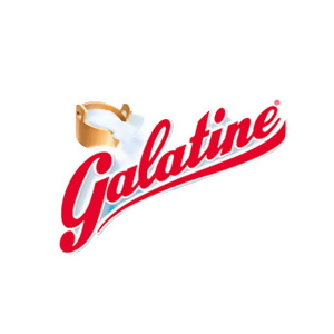 佳乐定Galatine品牌LOGO