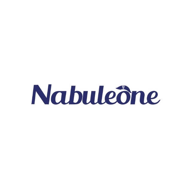 拿布仑Nabuleone品牌LOGO