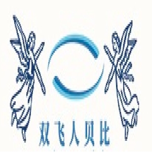 双飞人贝比品牌LOGO