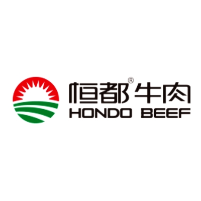 恒都HONDO品牌LOGO