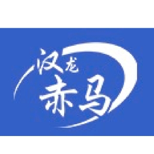 汉龙赤马品牌LOGO
