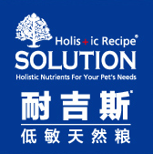 耐吉斯SOLUTION品牌LOGO