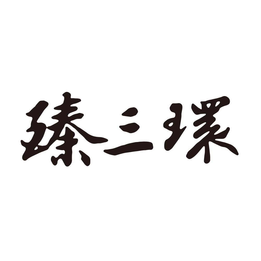 臻三环品牌LOGO