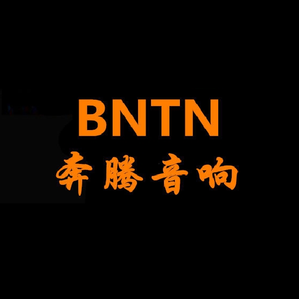 奔腾BNTN品牌LOGO