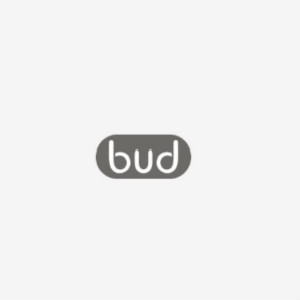 博的BUD品牌LOGO