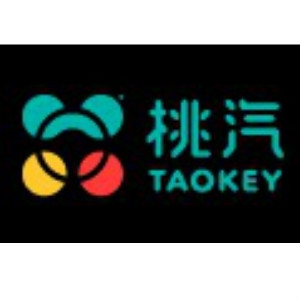 桃汽TAOKEY品牌LOGO