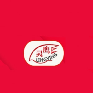 灵鹰品牌LOGO