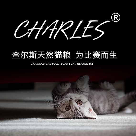 查尔斯CHARLES品牌LOGO