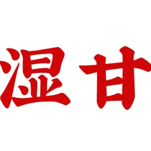 湿甘品牌LOGO