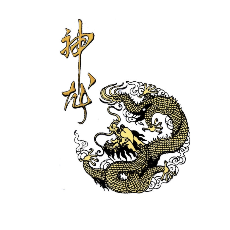 神龙shenlong品牌LOGO