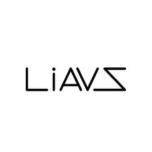 LiAVS品牌LOGO