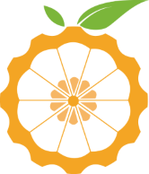 香橙派Orange Pi品牌LOGO