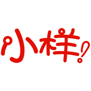 小样XIAOYANG品牌LOGO