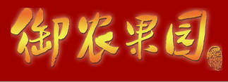 枣农园品牌LOGO