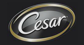 西莎Cesar品牌LOGO