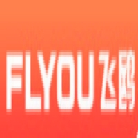 飞鸥FLYOU品牌LOGO