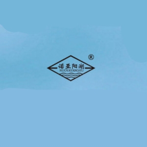 诺亚阳湖品牌LOGO