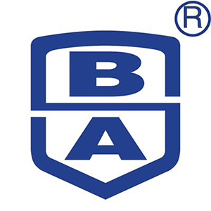 宝顺安品牌LOGO