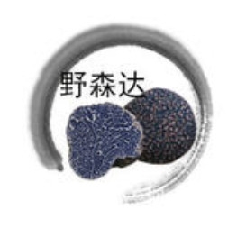野森达品牌LOGO
